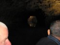 IMG_1777