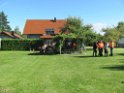 IMG_1796