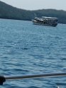 IMG_20240628_142652