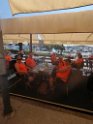 IMG_20240628_155957